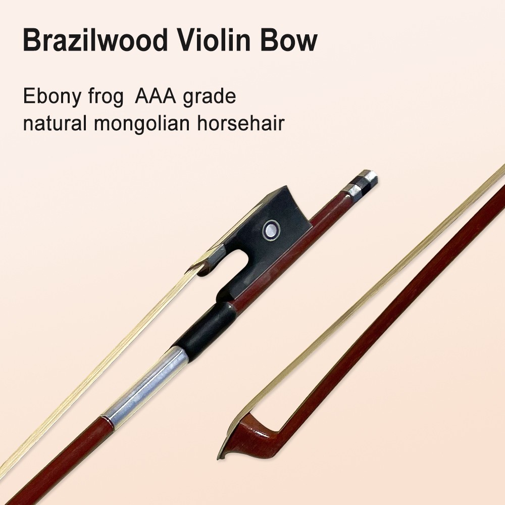 Advanced Beginner 4/4 Violin Outfit Hardshell Case Bow Adults New Nice