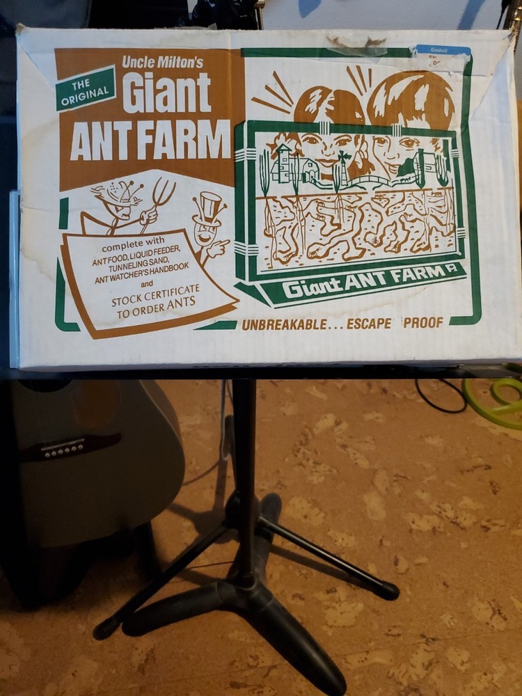 Uncle Milton's Ant Farm - 0017