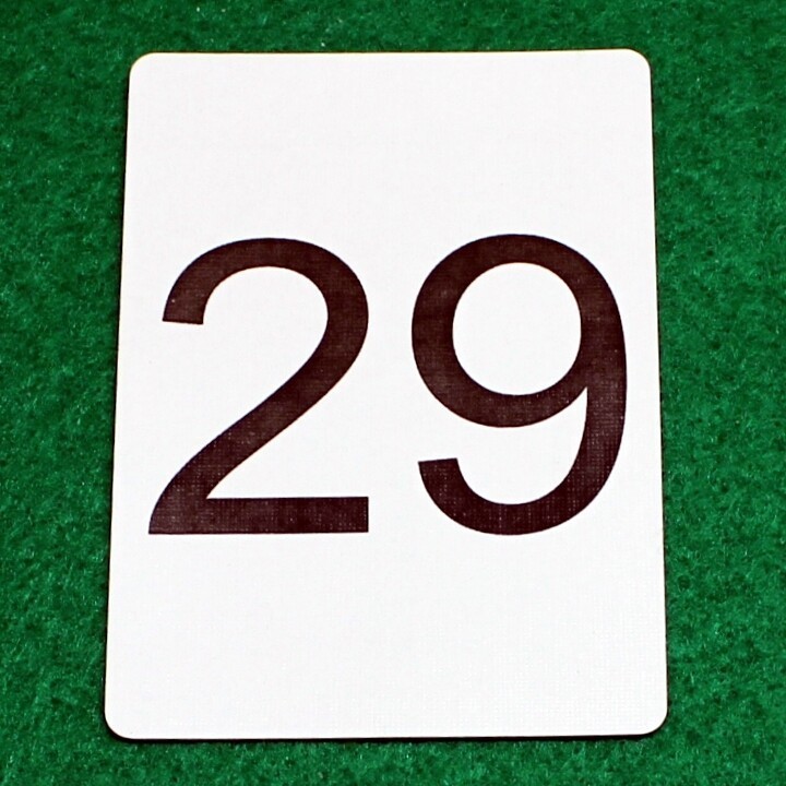 Number 29, Bicycle Printed Gaff Card, Blue