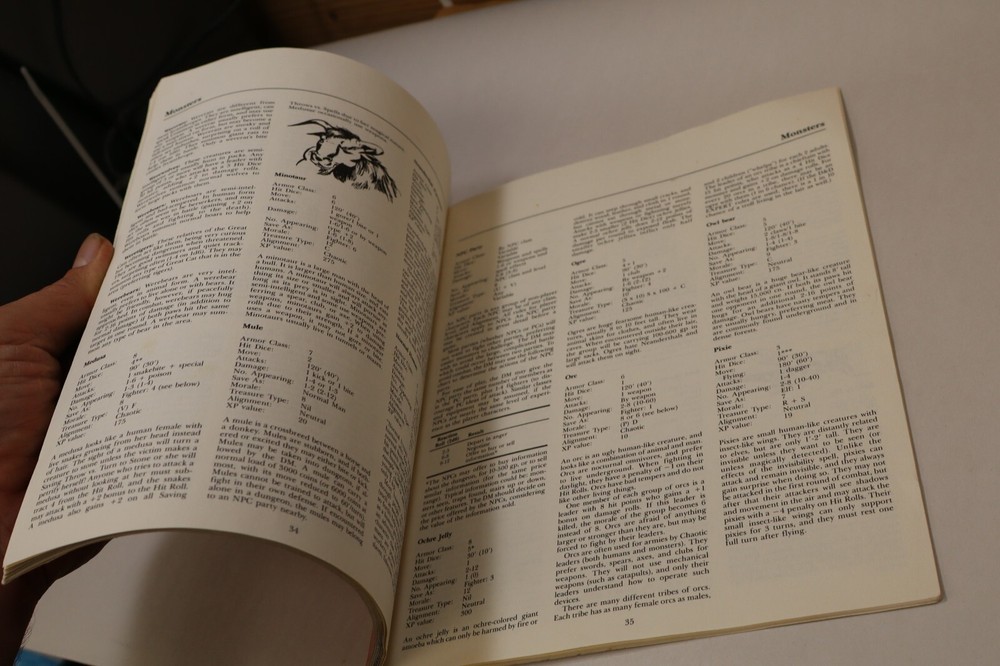 Dungeons And Dragons Dungeon Masters Rulebook, 1983, Some Cosmetic Issues