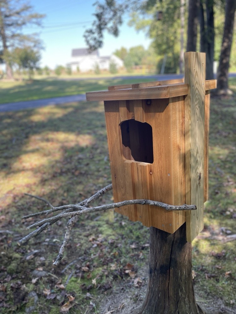 Cedar Barred Owl Nest Box Unfinished
