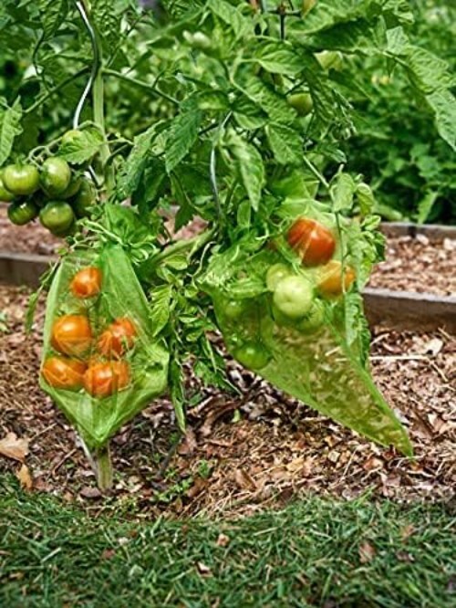 Versatile 50PCS Fruit Guard Bags with Protective Ropes - Multipurpose Solution