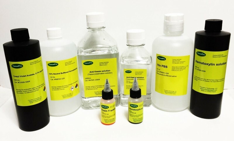 Neutral Buffered Formalin (10%) 500 mL from TissuePro