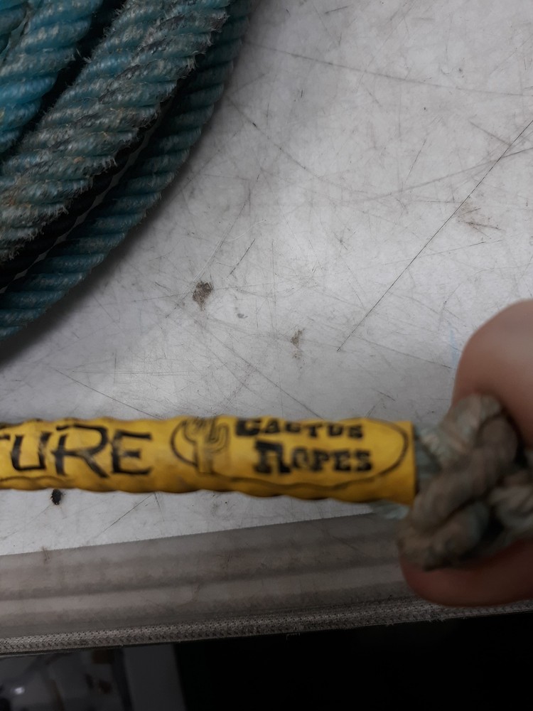Cactus Ropes Future Roping Rope Blue Yellow Handle