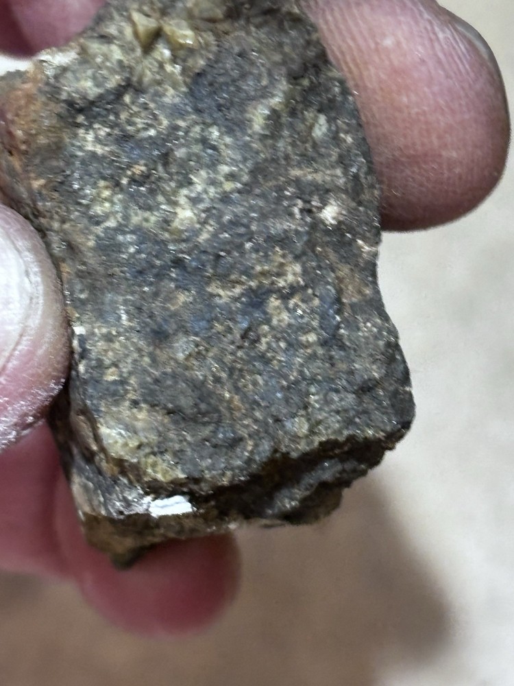 arizona silver and gold ore sample