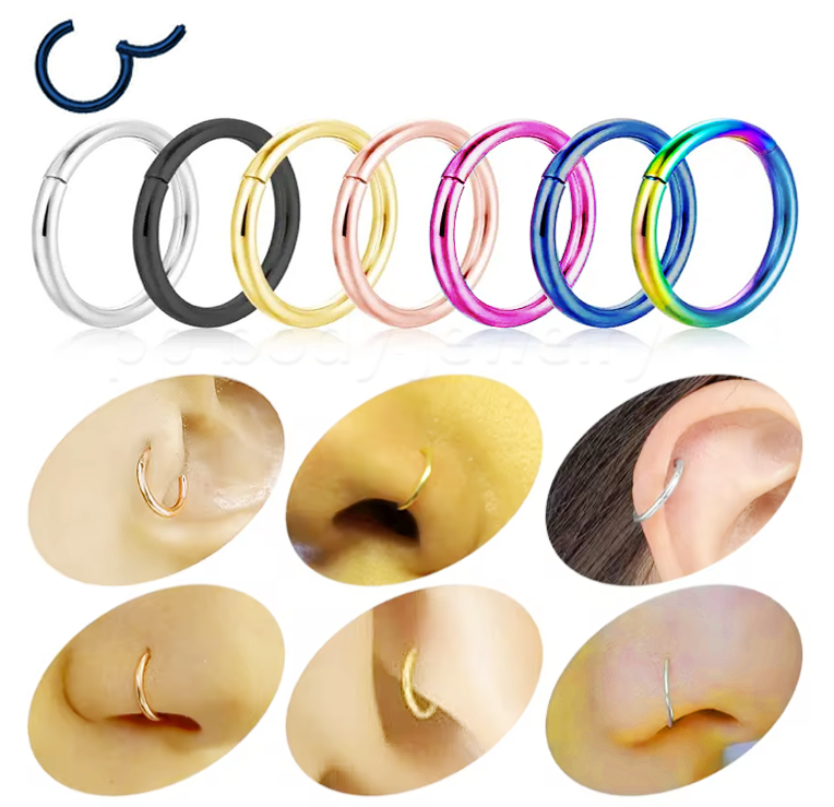 Hinged Seamless Segment Ring Cartilage Nose Hoop Labret Earring Septum