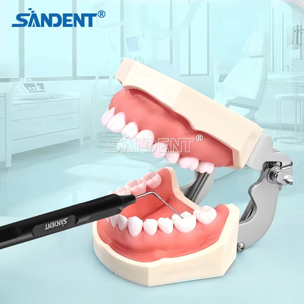 Dental Endo Root canal Buchanan Hand Plugger Tip Fill Obturation Kit Endodontic