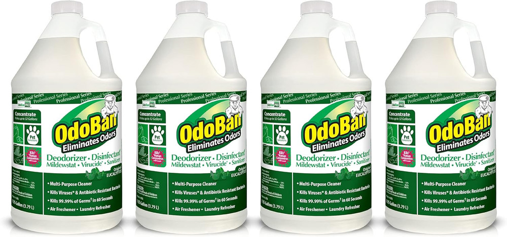 Professional Disinfectant and Odor Eliminator Concentrate, 4 Gallons, Original E