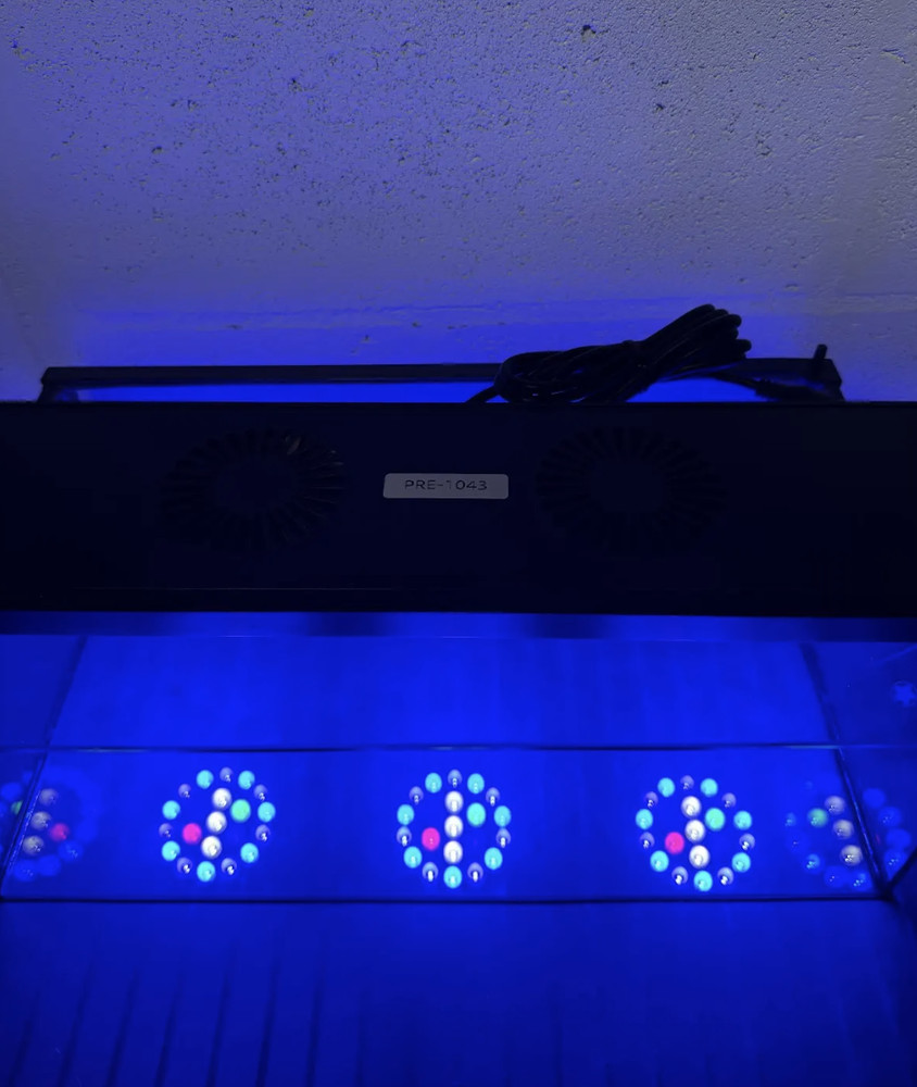 MicMol - Thor PRO LED lighting (PRE-OWNED)
