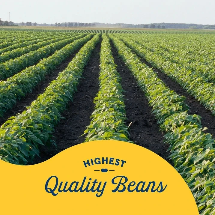 Bush's Pinto Beans, 16 oz. - 6 Pack - Nutritious & Savory