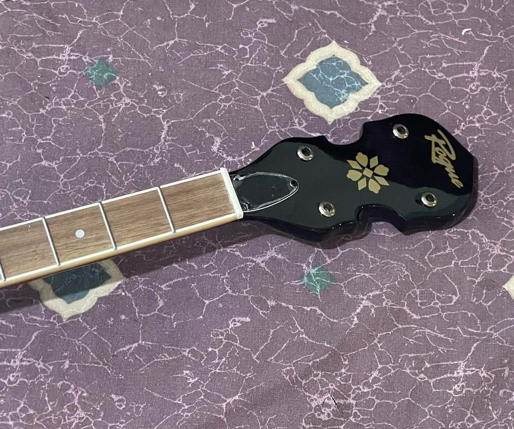 Rogue B30 5-String Banjo Easy Project