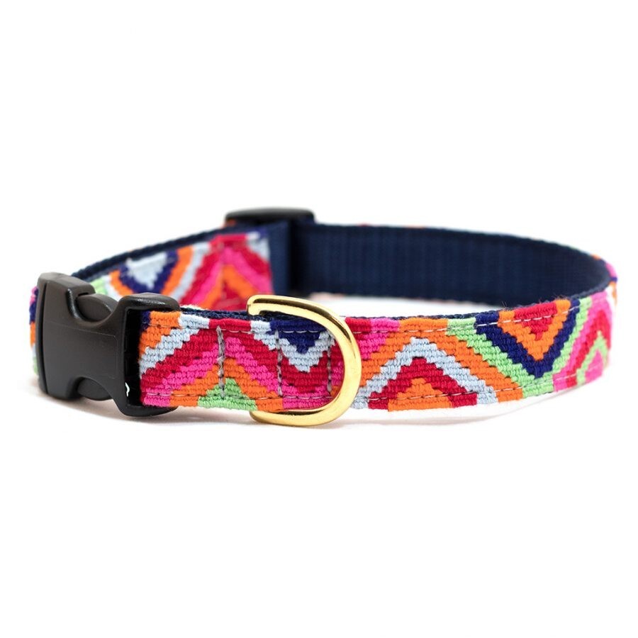 A Tail We Could Wag Side Release Dog Collar with Quick Release Buckle, Retro
