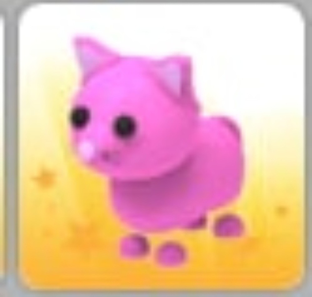 Pink Cat | Adopt Now