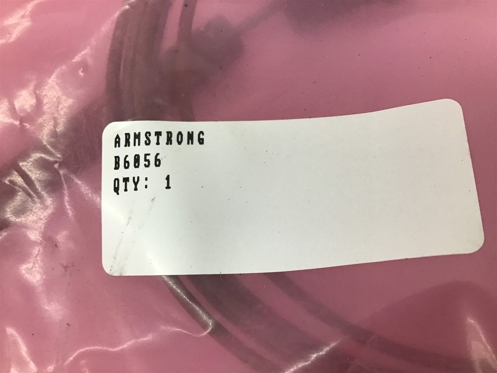 Armstrong B6056 Pneumatic Temperature Switch
