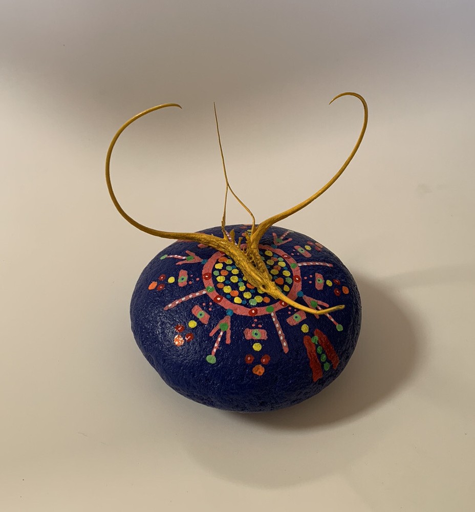 Proboscidea Devil's Claw FOLK ART SCULPTURE Painted Rock DEVIL'S Paperweight