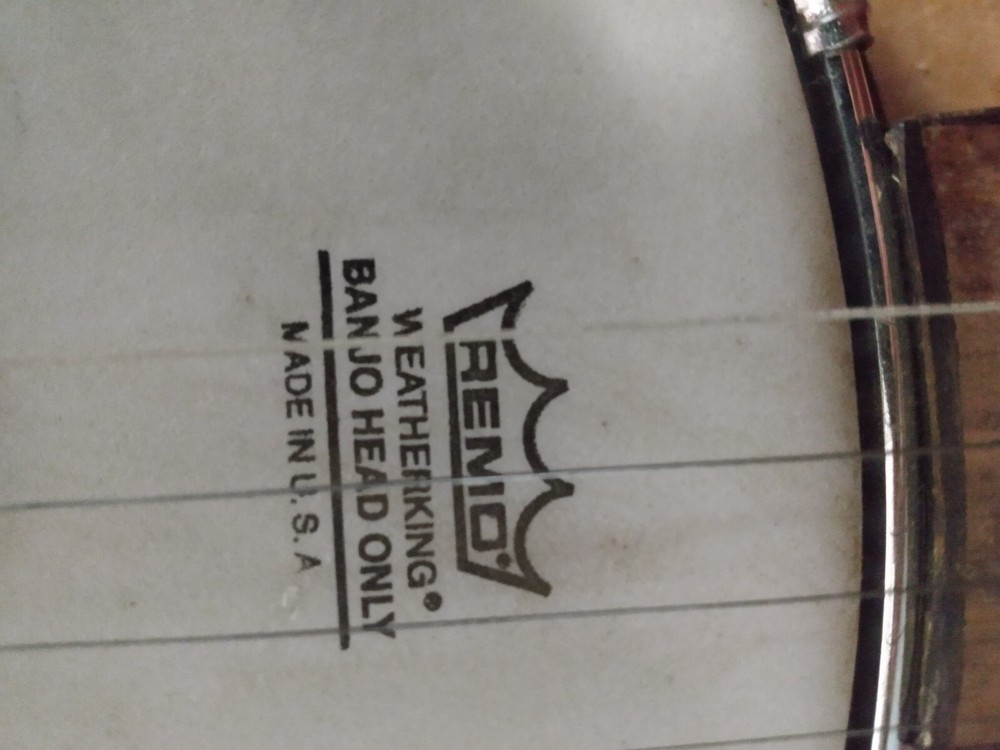 Banjo Danville Remo 5 Strings