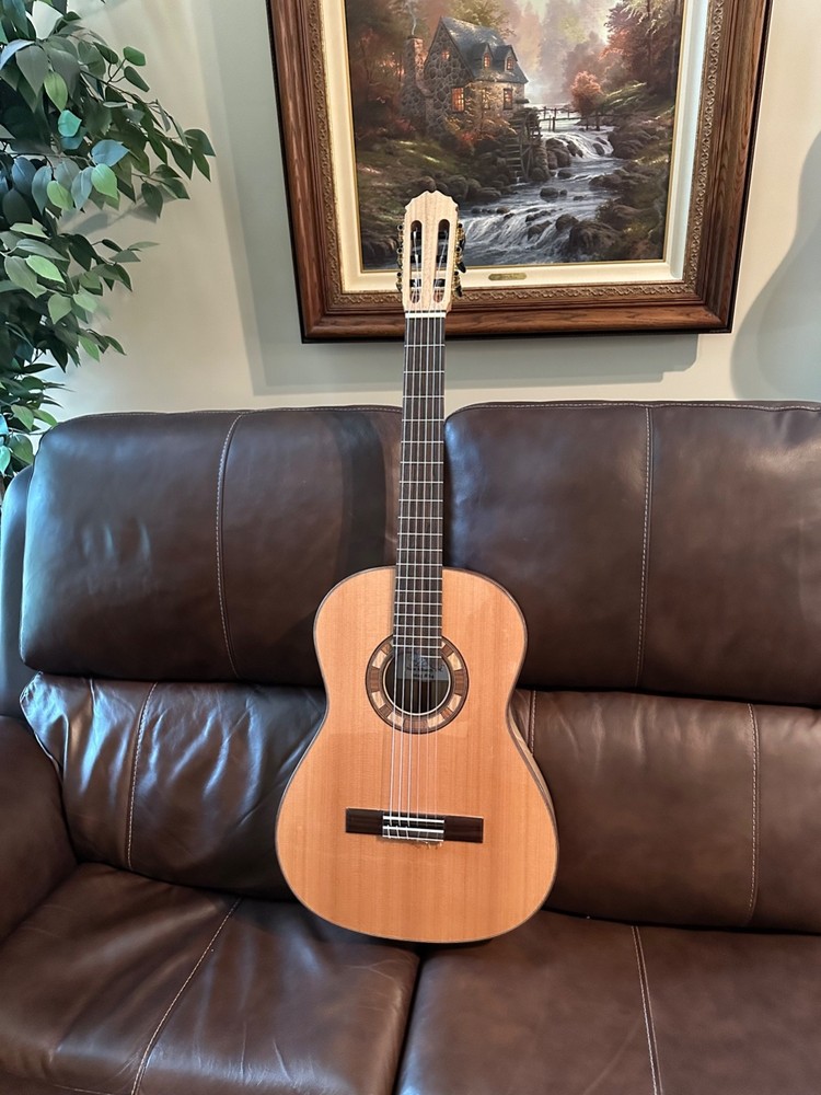 Hand Built Japanese Walnut Classical Guitar #64