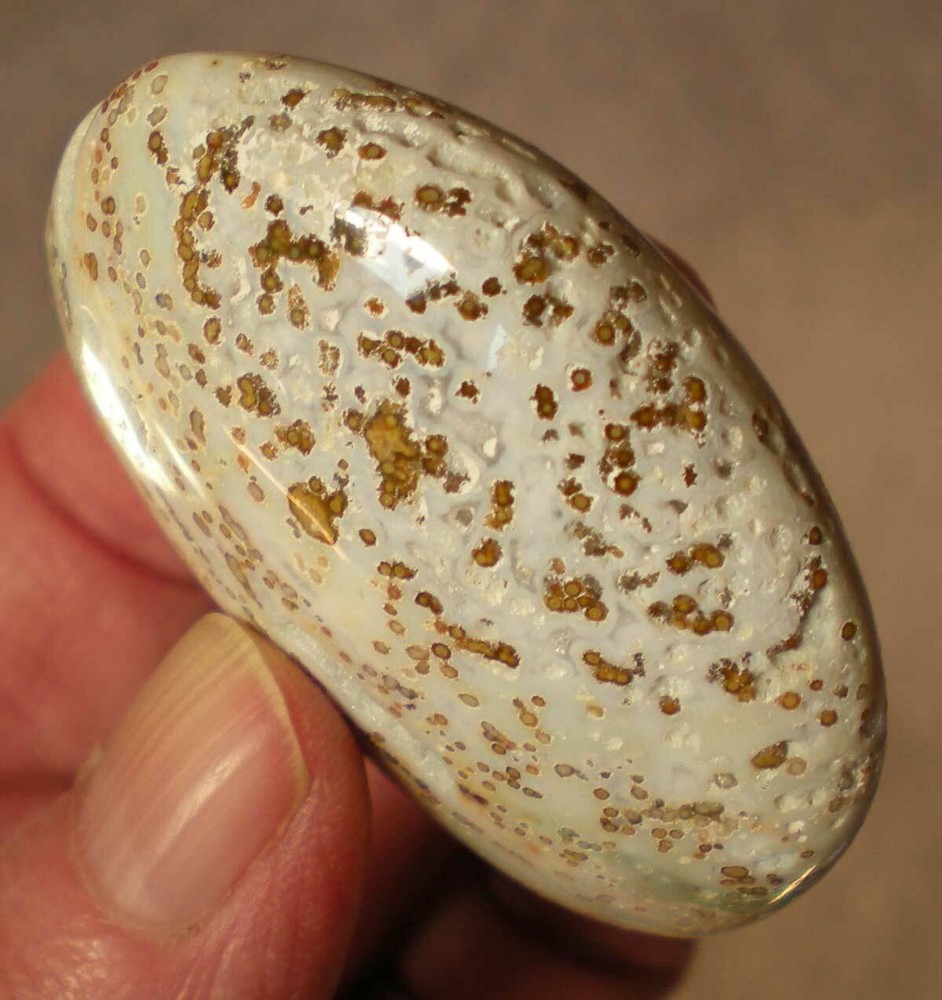 Ocean Jasper Palm Stone sc687l