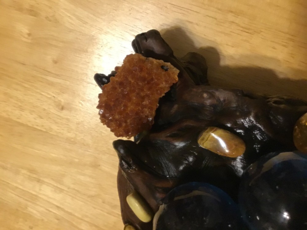 Petrified wood.With. Gems