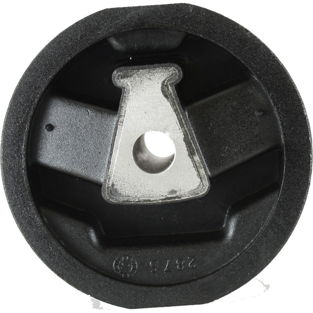 trans Mount  Pioneer  628910