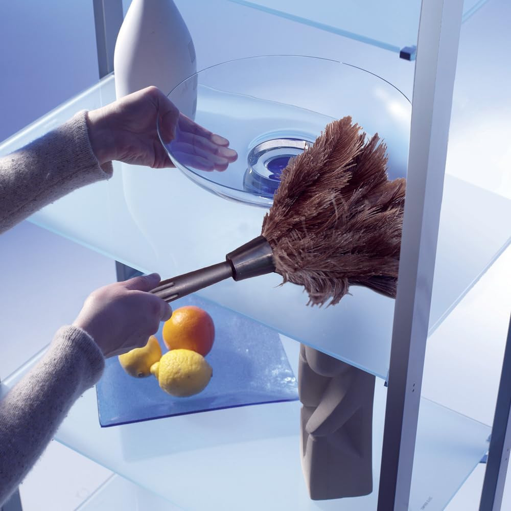 Ostrich Feather Duster, 18"