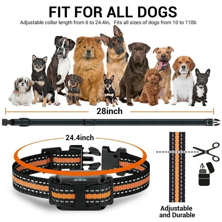 Dog Training Collar Dog Shock Collar Remote for Training Small Medium Large Dogs