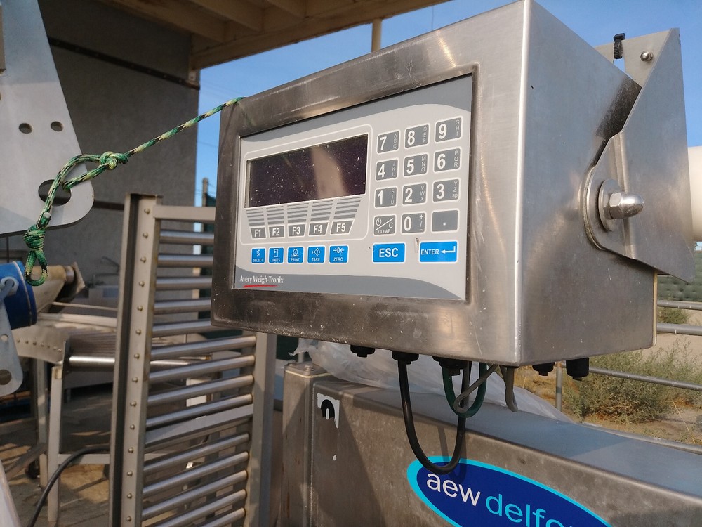AEW DELFORD SORTING CONVEYOR 920-04