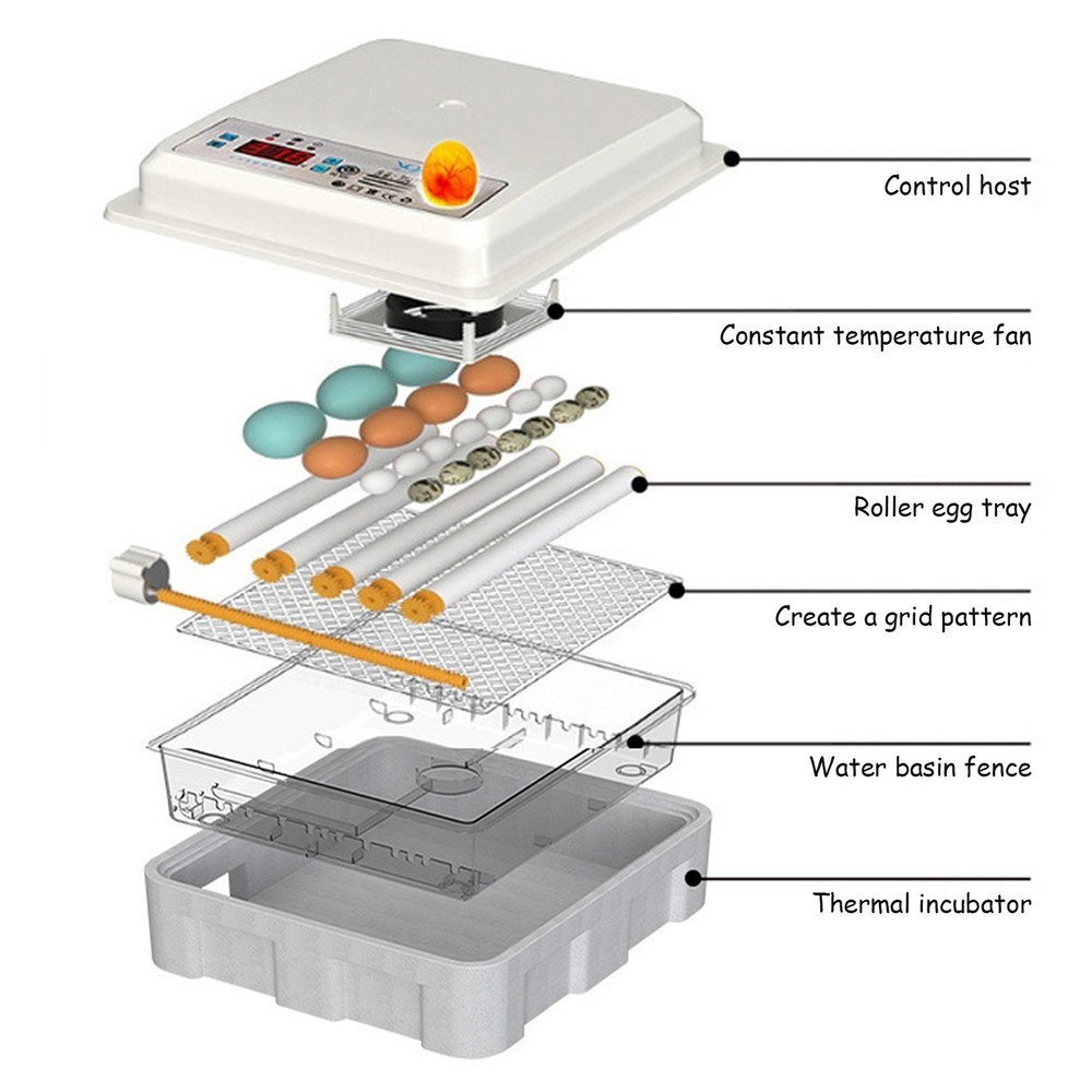 16 Eggs Incubator Digital Hatcher Temperature Control Fully Automatic Turning US