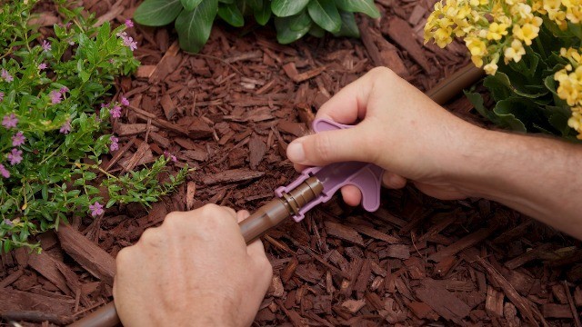 Drip Irrigation Spot Watering Emitters, 2 GPH, 30-Pack, Efficient Watering Solut