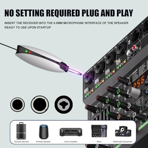 AD55 Dual Handheld Dynamic Wireless Microphone, Rechargeable Wireless Dual UHF