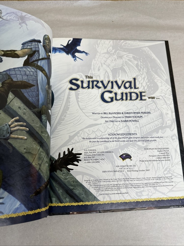 Dungeon Survival Guide D20 Dungeons & Dragons