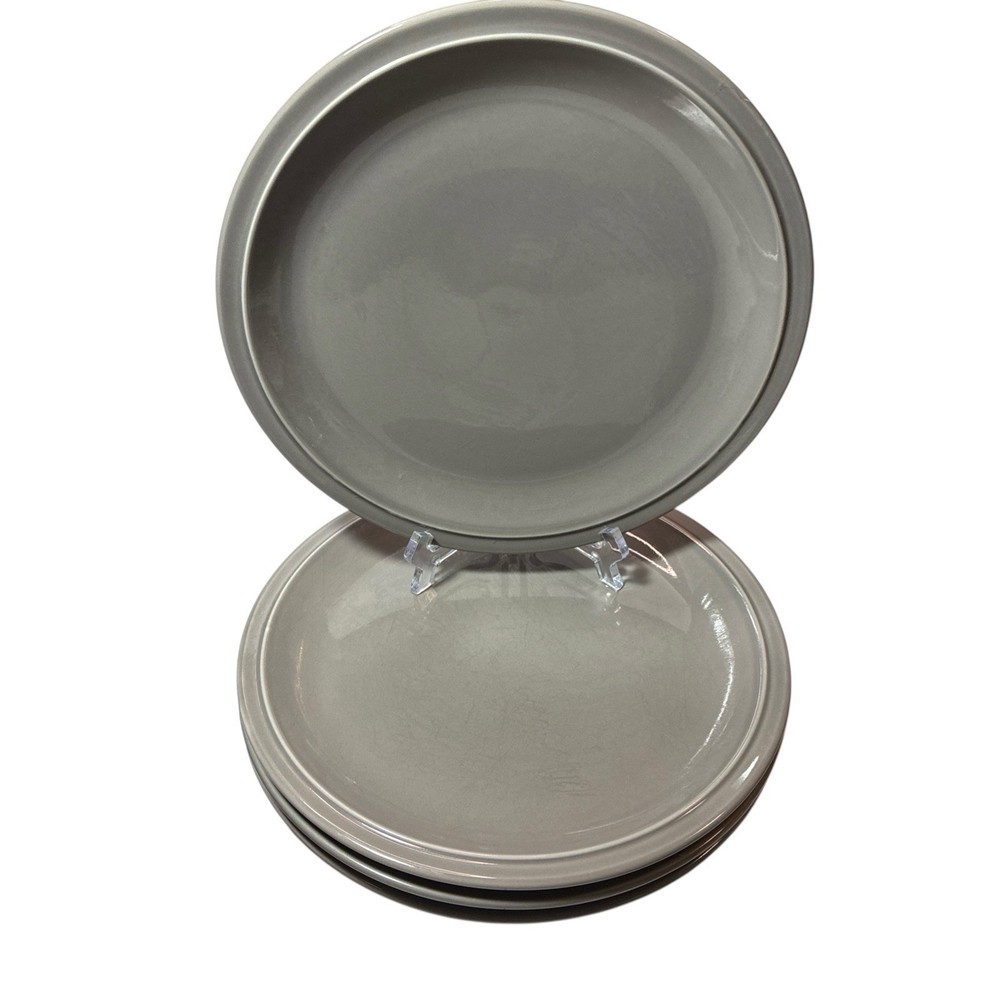 Godinger Gatherings Solid Gray 4 Piece Dinner Plates 10.75” ￼