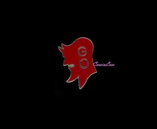 USA 3rd Bde. + a custom promo pin