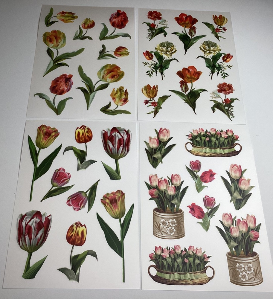 Anna Griffin Tulip Rub On Transfers