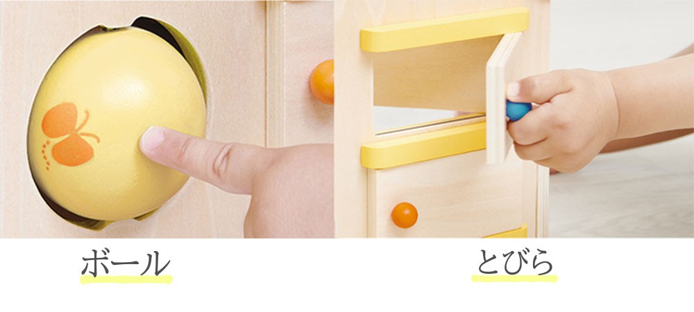 Forest Adventure House