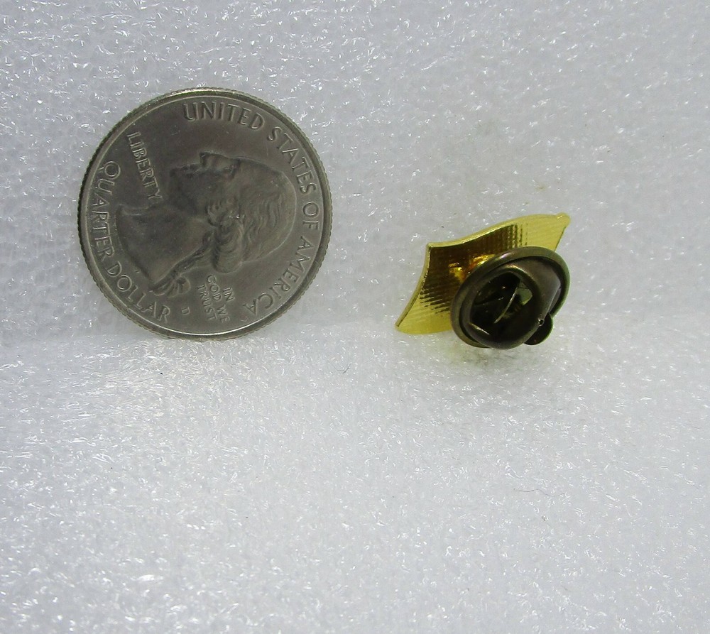 United States Flag Pin