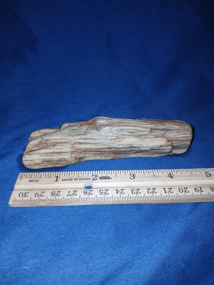 4.5 oz Petrified Wood