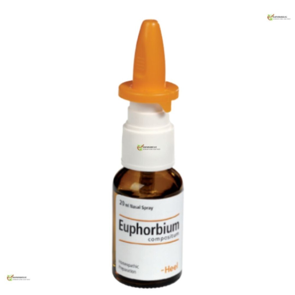Euphorbium Compositum 20ml HEEL Nasal Spray Homeopathic Solution