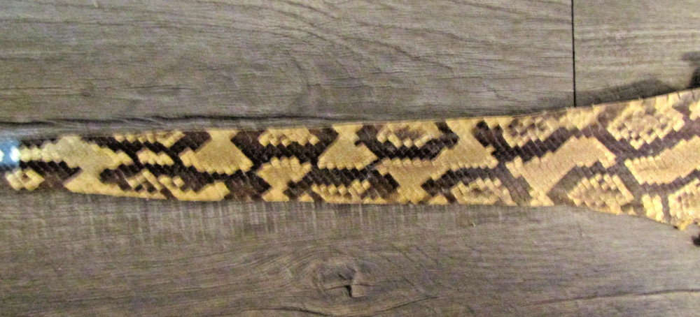 Taxidermy Genuine 15' 4" Long Reticulated Python Hide