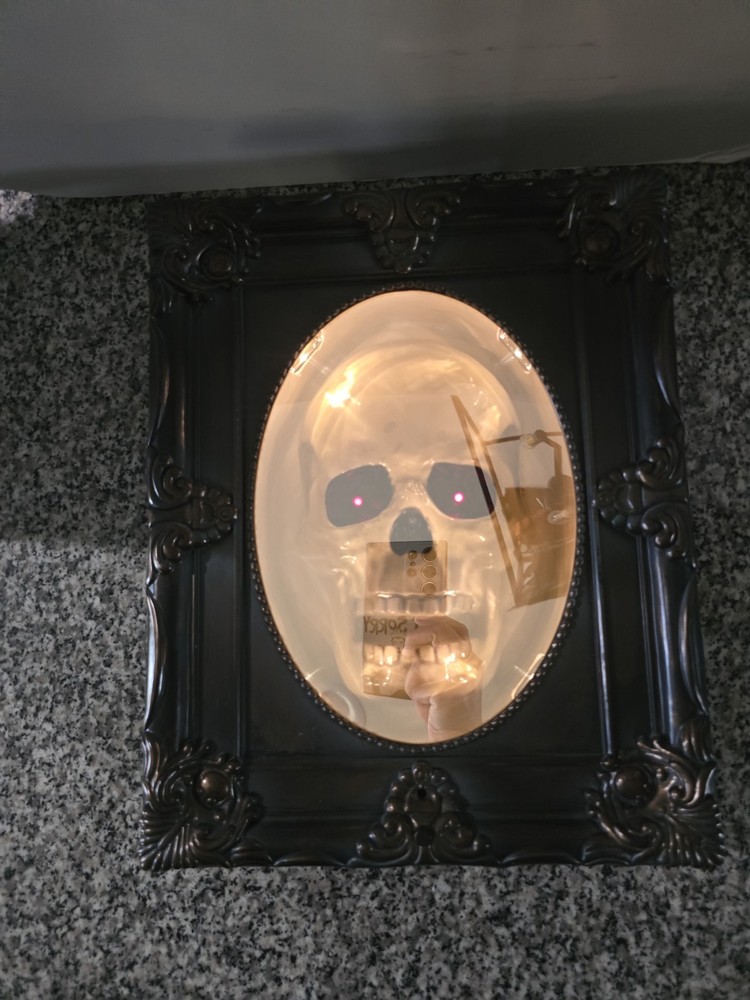 HAUNTED SKELETON SKULL LIGHTED TALKING GHOSTLY MIRROR HALLOWEEN DISPLAY