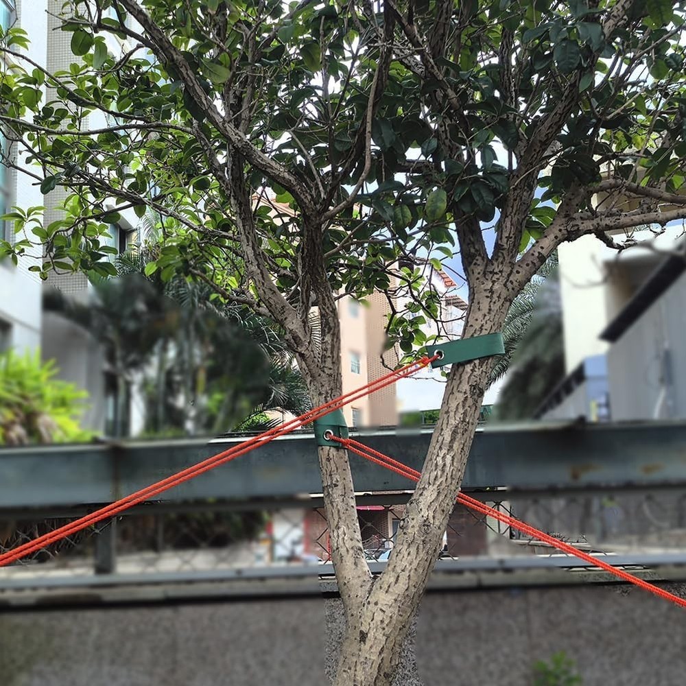 Versatile 8 Pack Tree Straps - Flexible Support for Gardening and Outdoor Needs