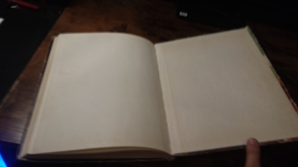 Advanced Dungeons & Dragons Dungeon Master's Guide 1st Edition 6th Beta 238 pp