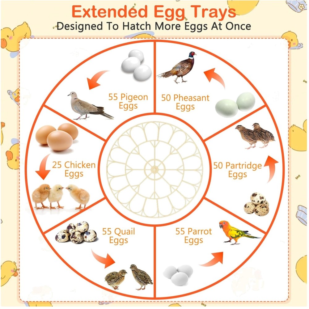 Compact Egg Incubator for Multiple Bird Species