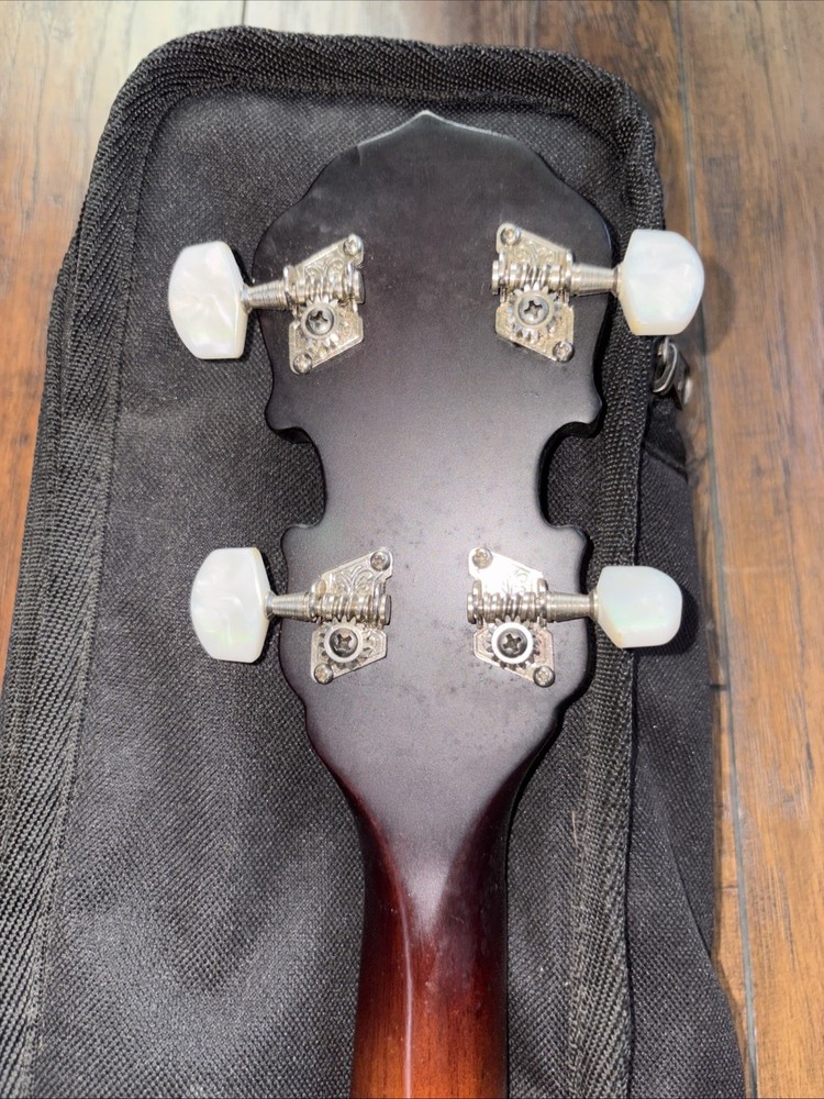 Fender 5 String Banjo & Bag Used