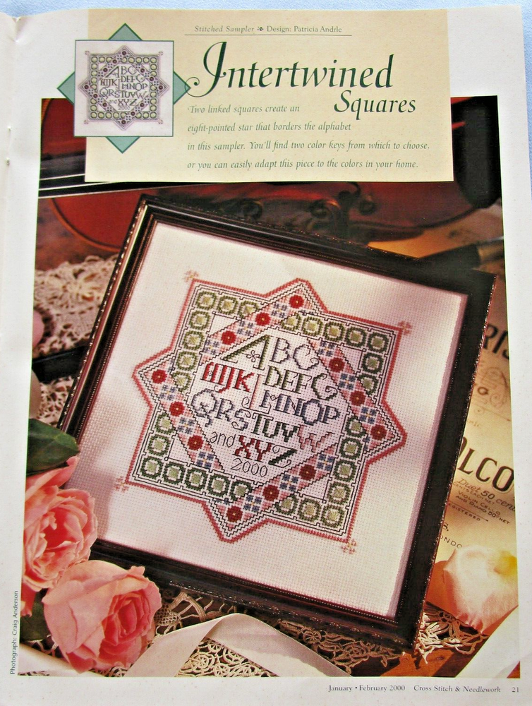 Intertwined Squares Sampler Rose Bouquet Pillow Design CROSS STITCH PATTERNS