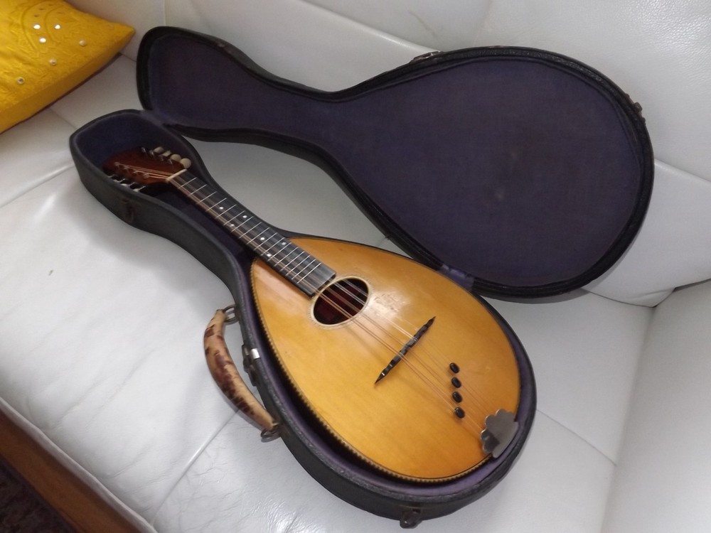 Rare Weymann Mandolute 100yrs old