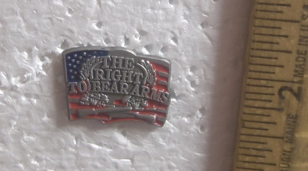 The Right to Bear Arms Pin