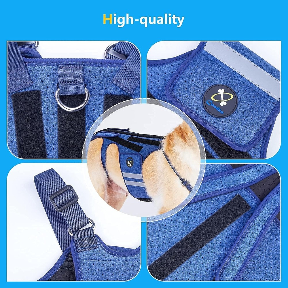 Reflective Dog Back Bracer for Arthritis Relief, Blue-Medium