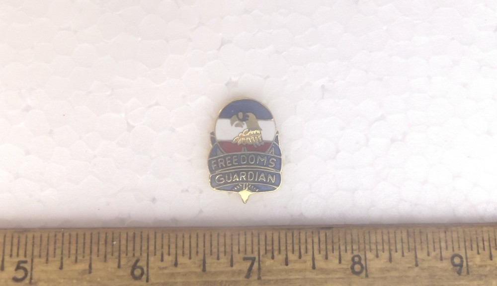 Freedoms Guardian Pin