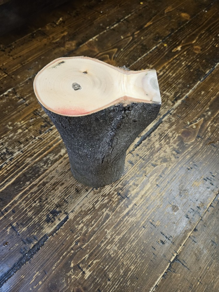 MAPLE  Turning Crotch Log 7" Long M4804